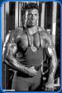 big bodybuilder frank sepe