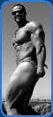 bodybuilder kickboxer mustafa fakhater redondo california