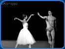 dancer roberto bolle